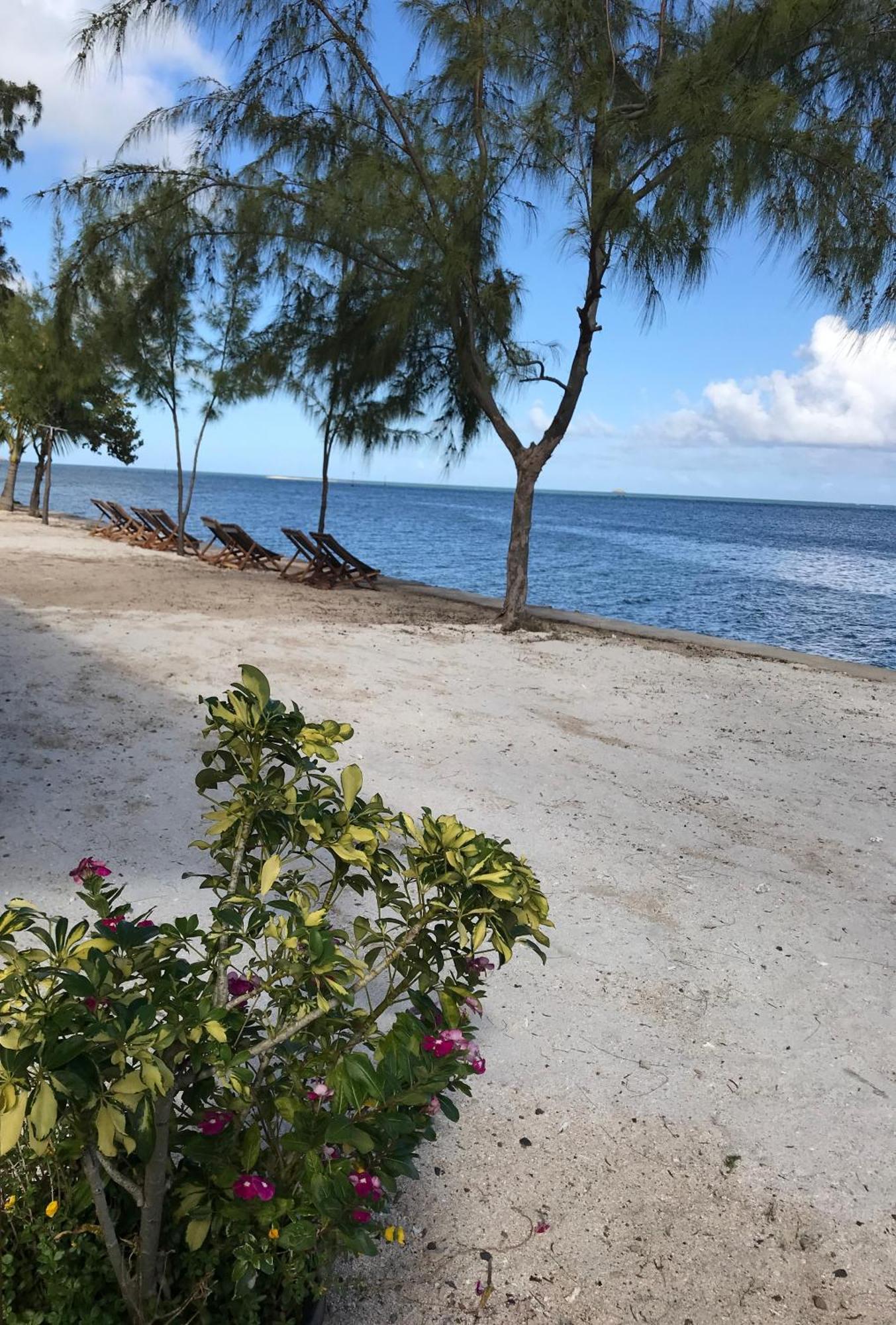 Bon Vivant Front De Mer - Ile Rodrigues Port Mathurin Bagian luar foto